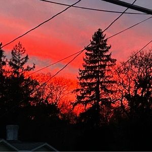 Meet your Posher, Aiden